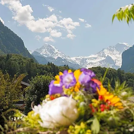 Jungfrau Annex Alpine-inn 3* Interlaken