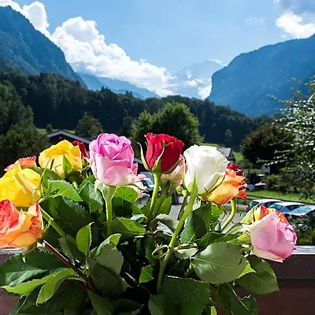 Jungfrau Alpine Inn 2*