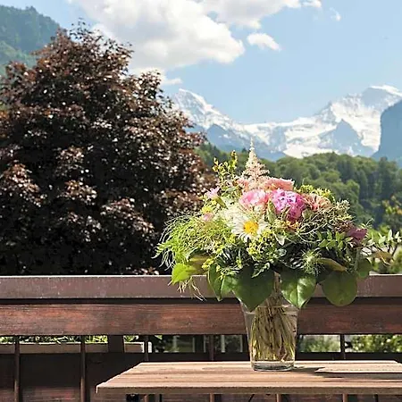 Jungfrau Annex Alpine-inn Interlaken